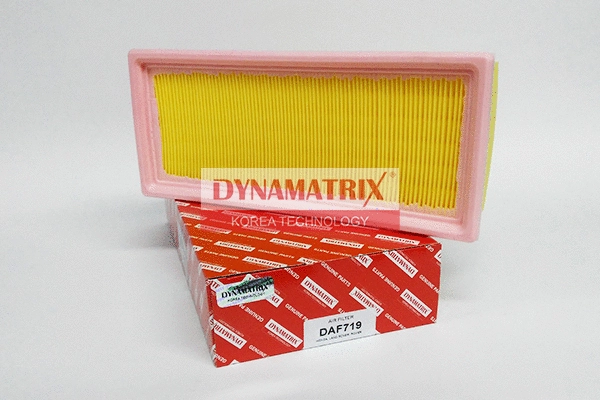Air Filter (DAF719)