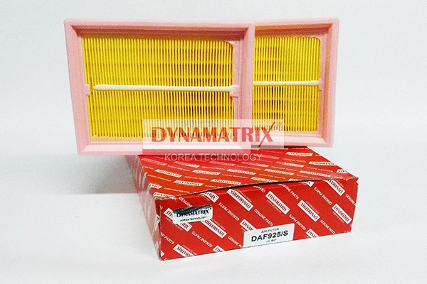 Air Filter (DAF925/S)