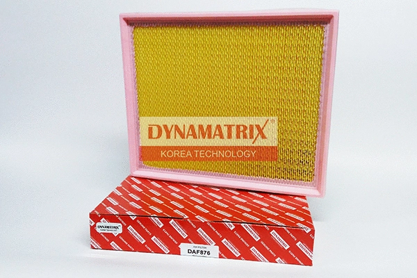 Air Filter (DAF876)