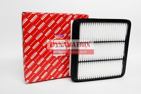Air Filter (DAF2834)