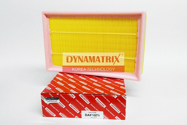 Air Filter (DAF1571)