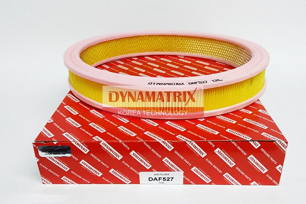 Air Filter (DAF527)