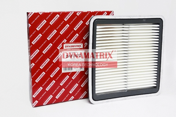 Air Filter (DAF2672)