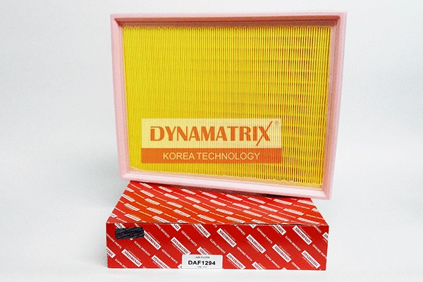 Air Filter (DAF1294)