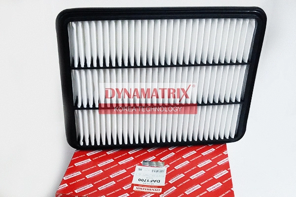 Air Filter (DAF1700)