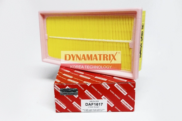 Air Filter (DAF1617)