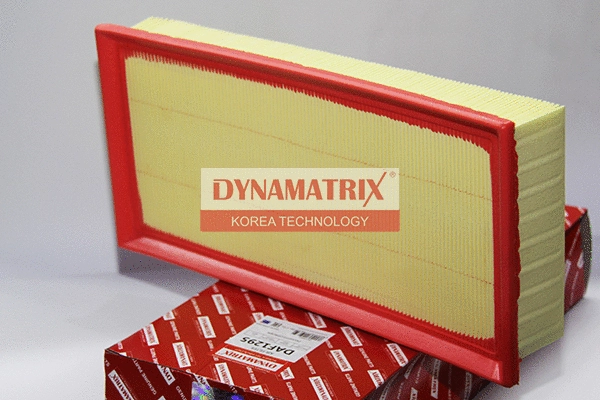 Air Filter (DAF1295)