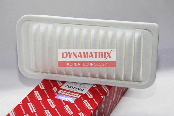 Air Filter (DAF1002)