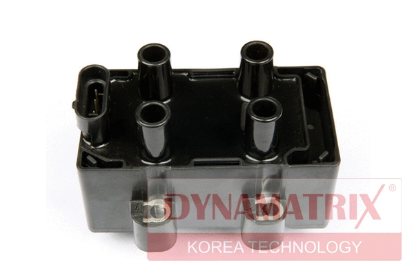 Ignition Coil (DIC024)
