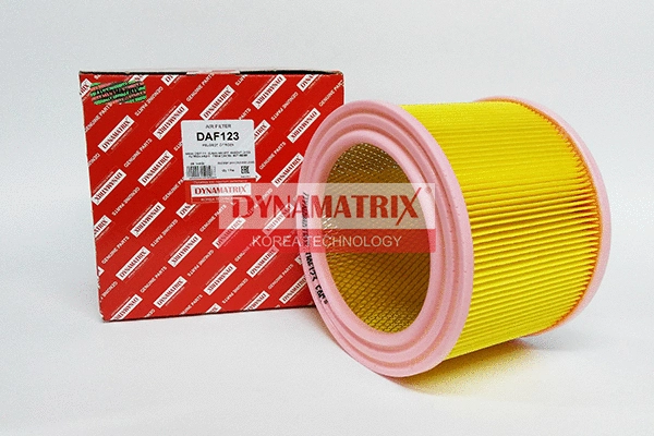 Air Filter (DAF123)