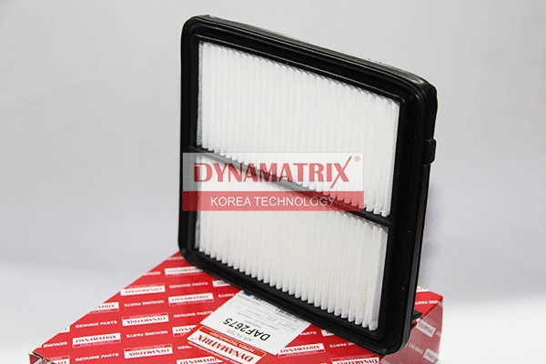 Air Filter (DAF2675)