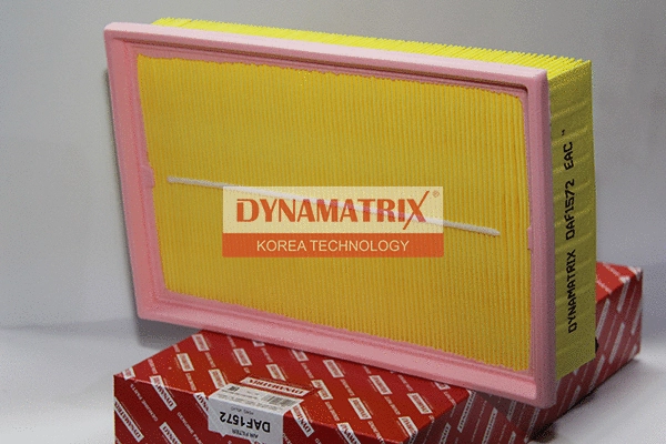 Air Filter (DAF1572)