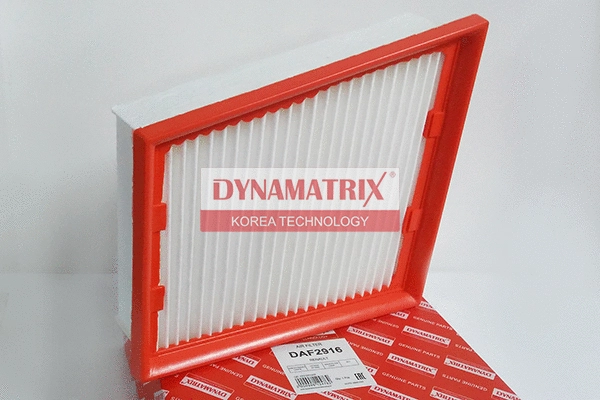Air Filter (DAF2916)