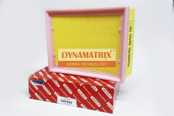 Air Filter (DAF642)