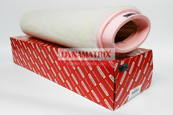 Air Filter (DAF818)