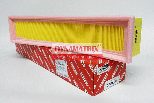 Air Filter (DAF1258)