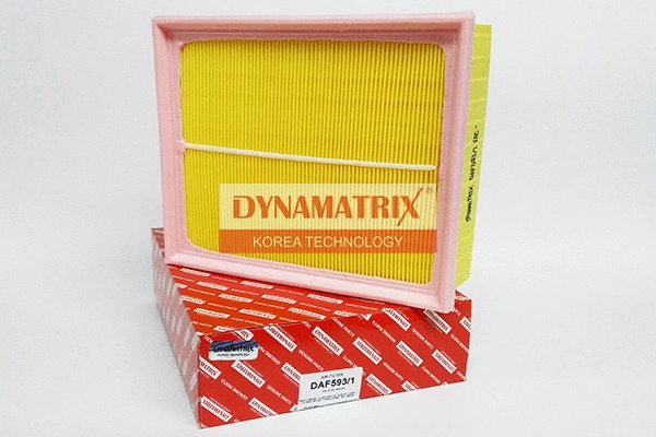 Air Filter (DAF593/1)