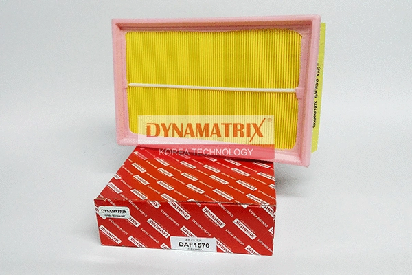 Air Filter (DAF1570)