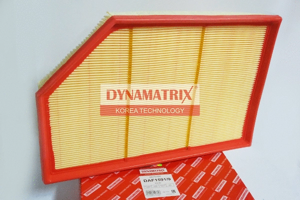Air Filter (DAF1591/9)