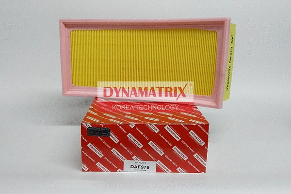 Air Filter (DAF979)