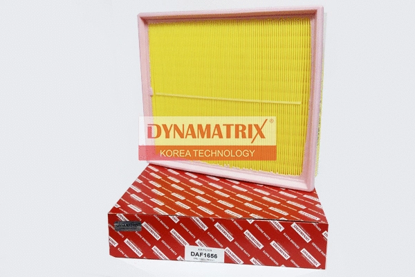 Air Filter (DAF1656)