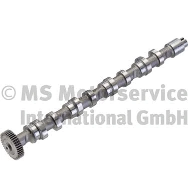 Camshaft (50007022)