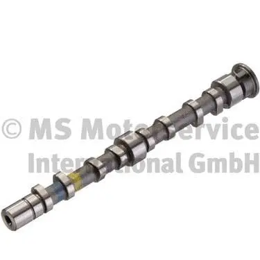 Camshaft (50007056)