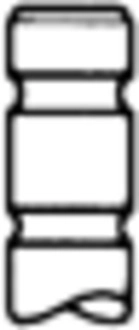 Intake Valve (50017666)