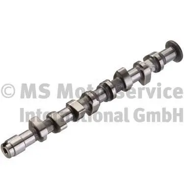 Camshaft (50006381)