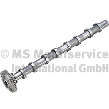 Camshaft (50007932)