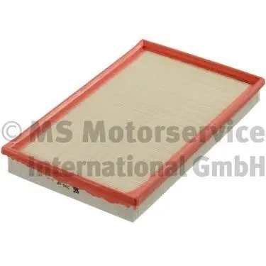 Air Filter (50013290)