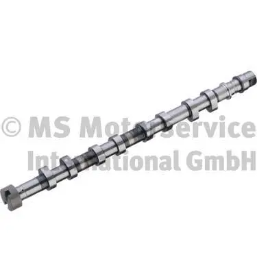 Camshaft (50007123)