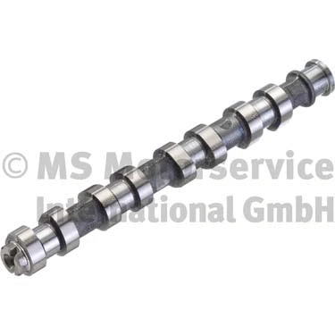 Camshaft (50006151)