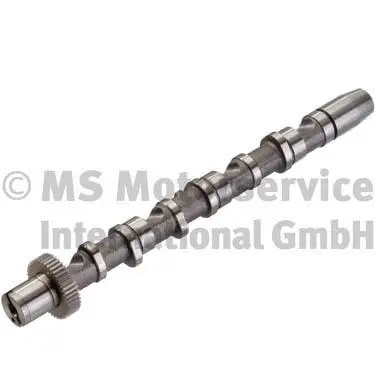 Camshaft (50006346)