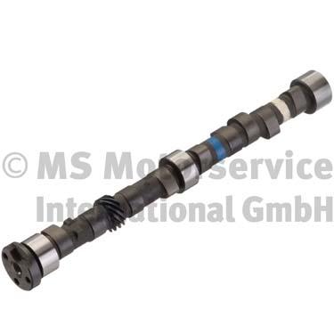 Camshaft (50006258)