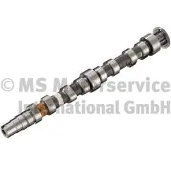 Camshaft (50007678)