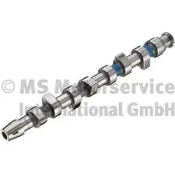 Camshaft (50006202)