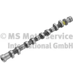 Camshaft (50007704)
