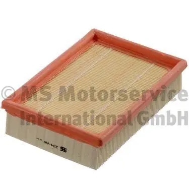 Air Filter (50013234)