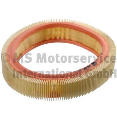 Air Filter (50013141)