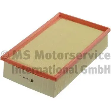 Air Filter (50013279)