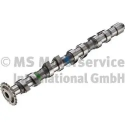 Camshaft (50007580)