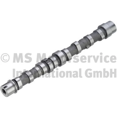 Camshaft (50007799)