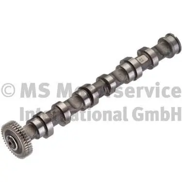 Camshaft (50007008)
