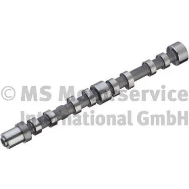 Camshaft (50007033)