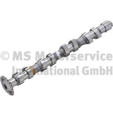 Camshaft (50006308)