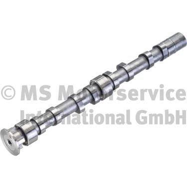 Camshaft (50007019)
