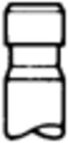 Intake Valve (50017070)