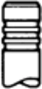Intake Valve (50017826)