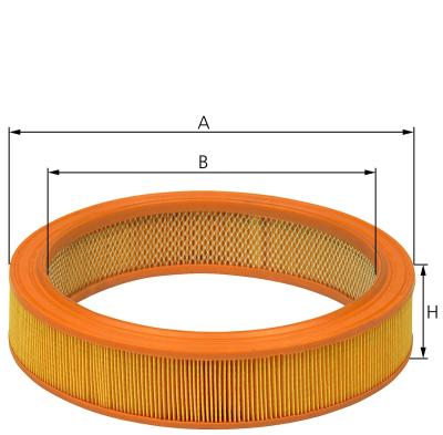 Air Filter (50013170)
